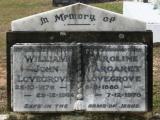 image of grave number 959135